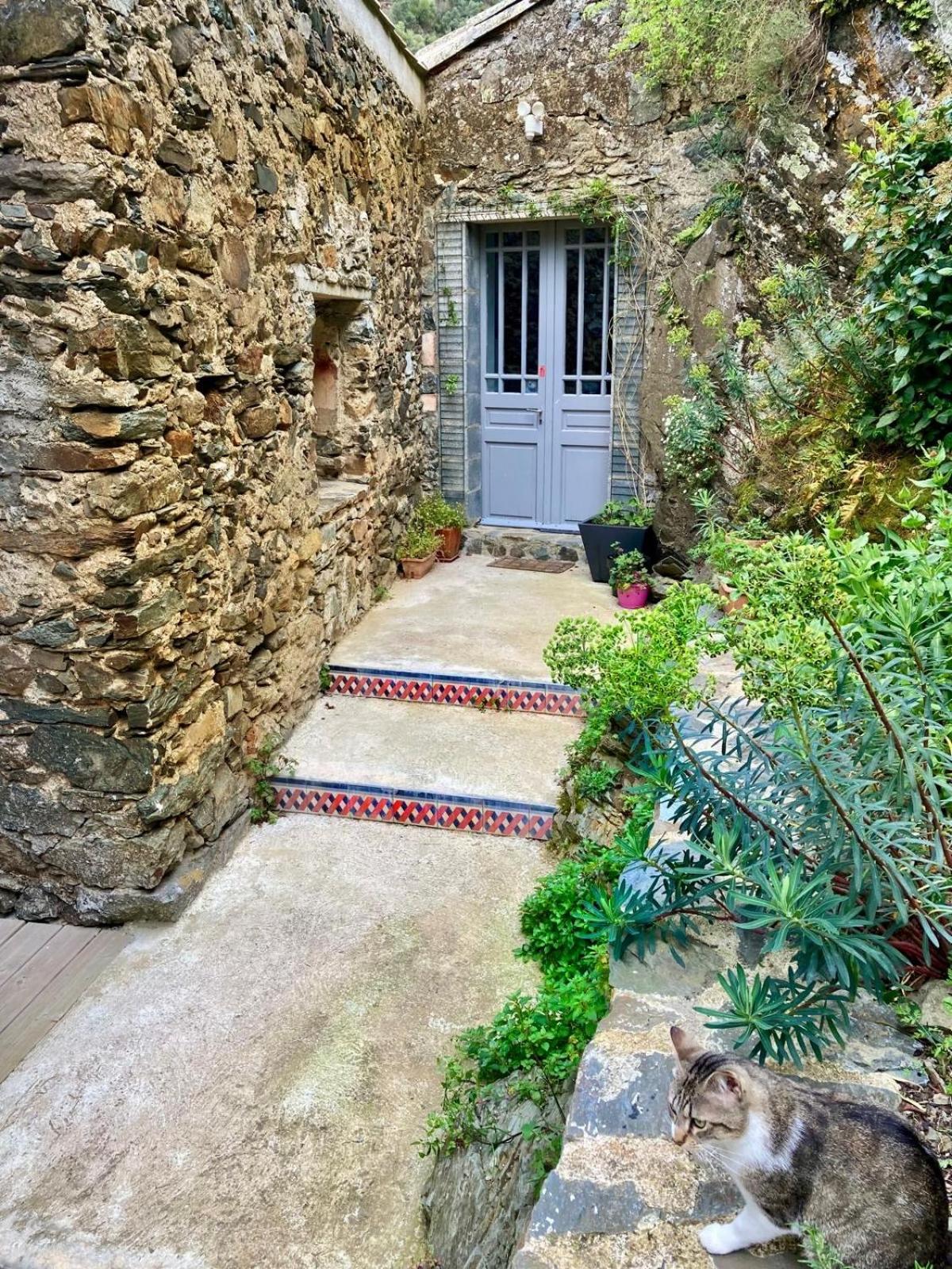 4 Star Cabaret Lastours 4 Chateaux Amazing Cathar Landmark Private Luxury 4 Star Air Conditioned Terrasse With Views 외부 사진